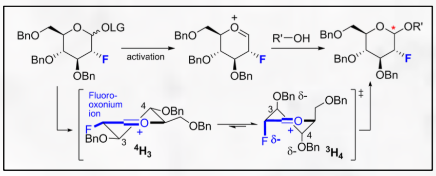 Oxonium ion
