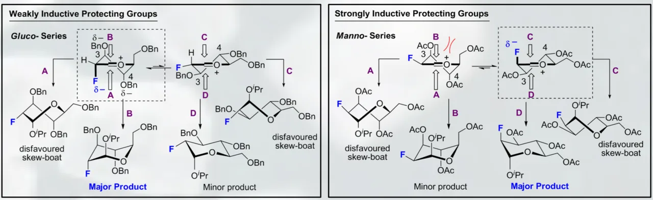 Oxonium ion